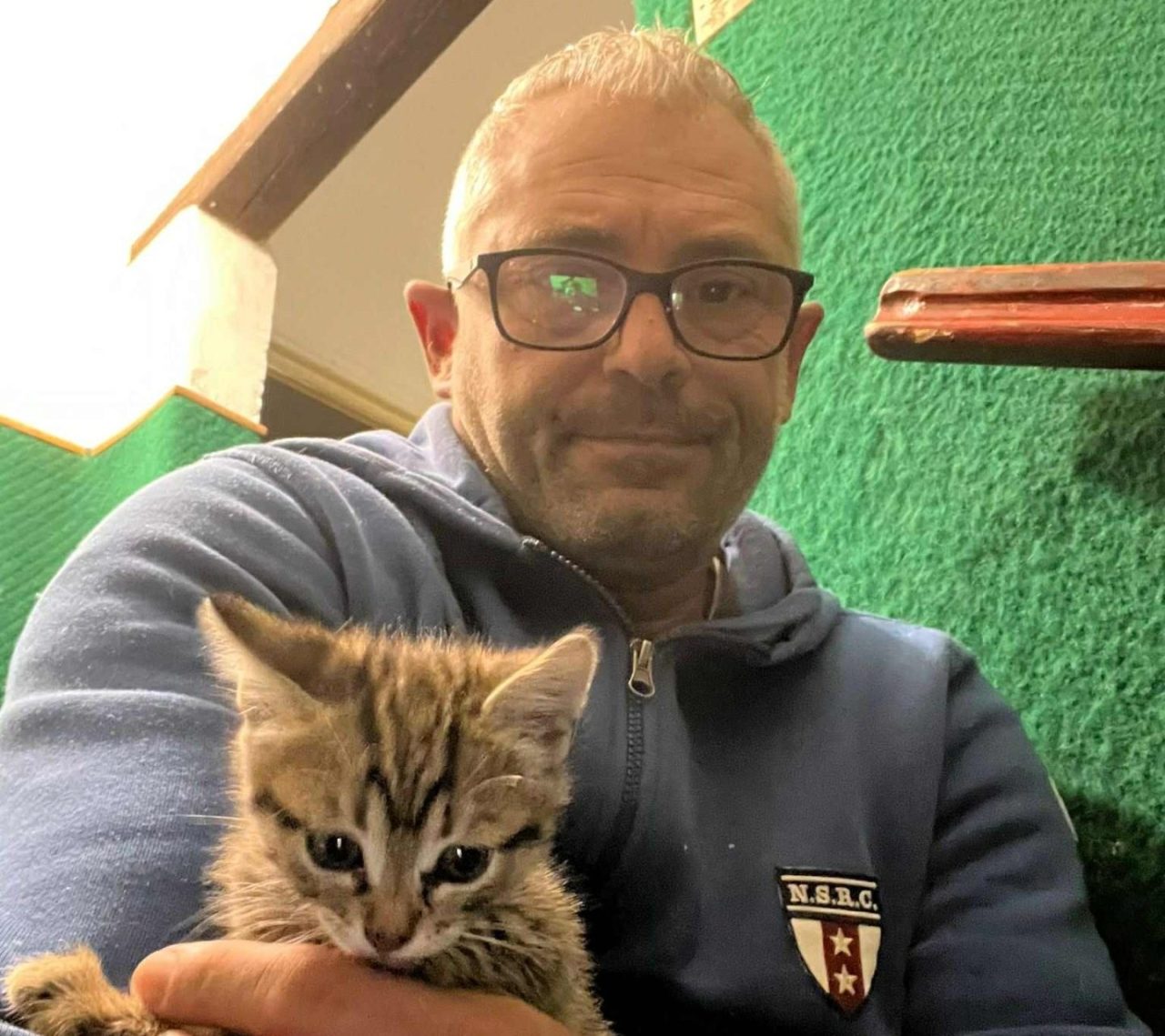 Un automobilista ferma il traffico per salvare una gattina