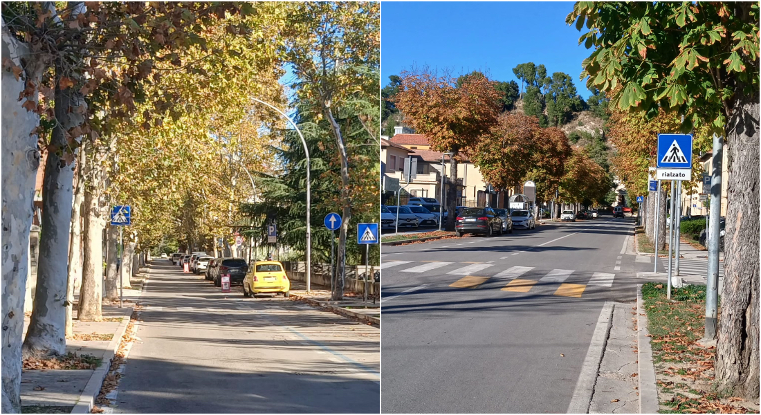 Legambiente e residenti uniti per salvare gli alberi: «Viale Vellei un unicum in Italia»