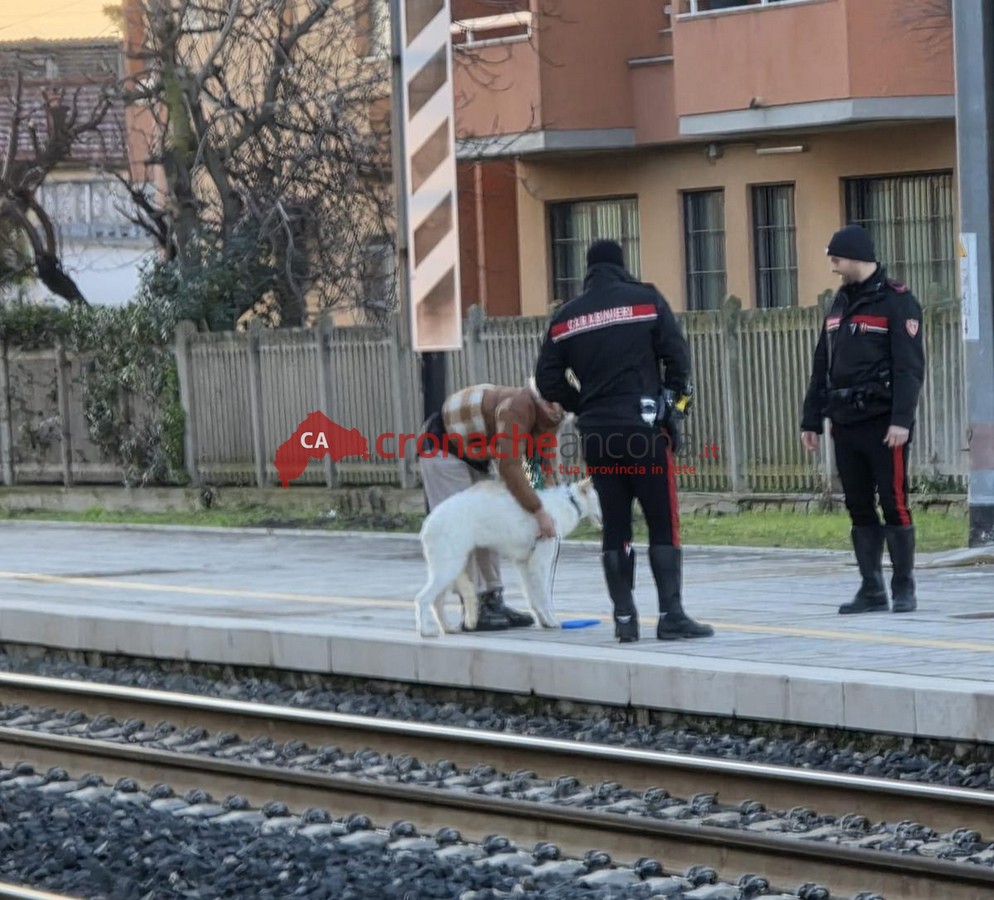 Si precipita sui binari per salvare il cane: traffico ferroviario sospeso, ora rischia la denuncia