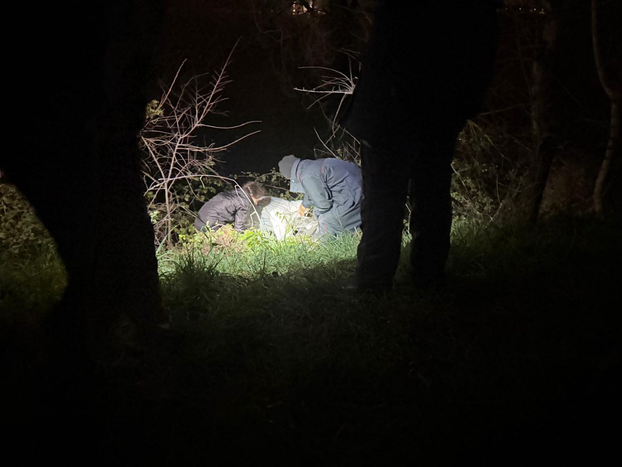 Carcasse di cani in un fosso, <br> ritrovati altri 17 scheletri