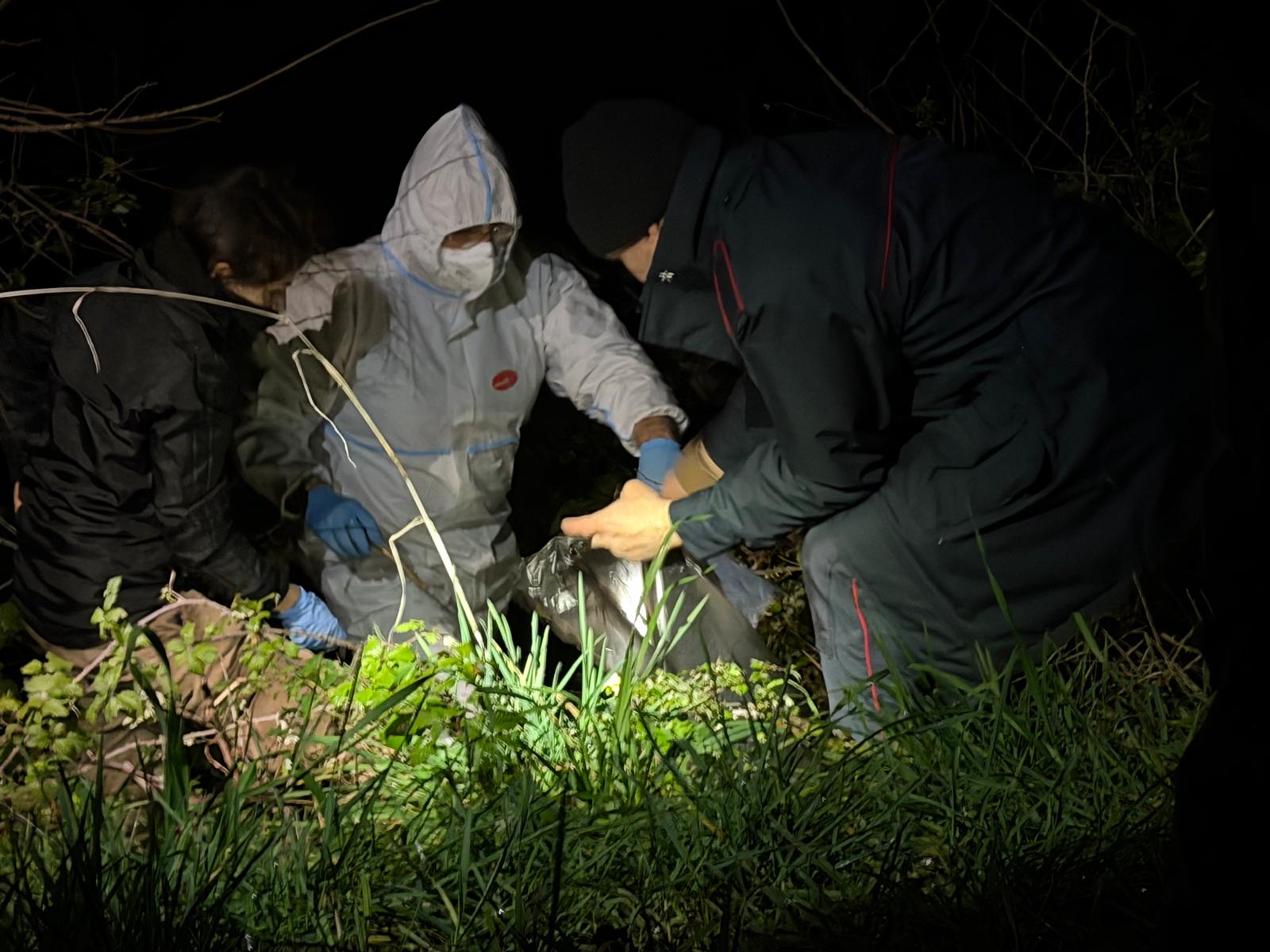 Dalla vegetazione del fosso <br> spuntano altre carcasse di cani: <br> sinora oltre 50 quelle trovate Dalla vegetazione del fosso <br> spuntano altre carcasse di cani: <br> sinora oltre 50 quelle trovate