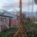 Un nuovo volto per il lungomare: rinascono le palazzine dell’Ex Camping