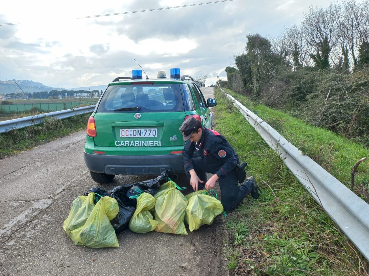 Cani trovati morti in un fosso: <br> emergono altre 13 carcasse Cani trovati morti in un fosso: <br> emergono altre 13 carcasse