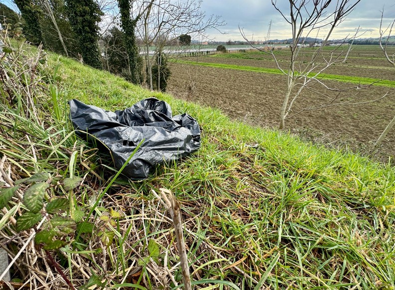 Cani trovati morti nel fosso, <br> al via le autopsie sulle carcasse. <br> Interrogazioni a ministro di Giustizia e Interno Cani trovati morti nel fosso, <br> al via le autopsie sulle carcasse. <br> Interrogazioni a ministro di Giustizia e Interno