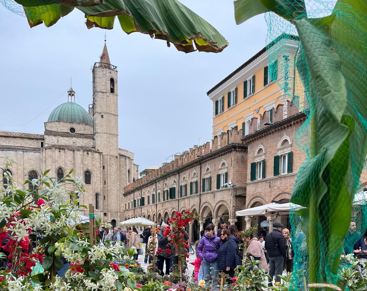 “La città in fiore”, un grande giardino in centro storico