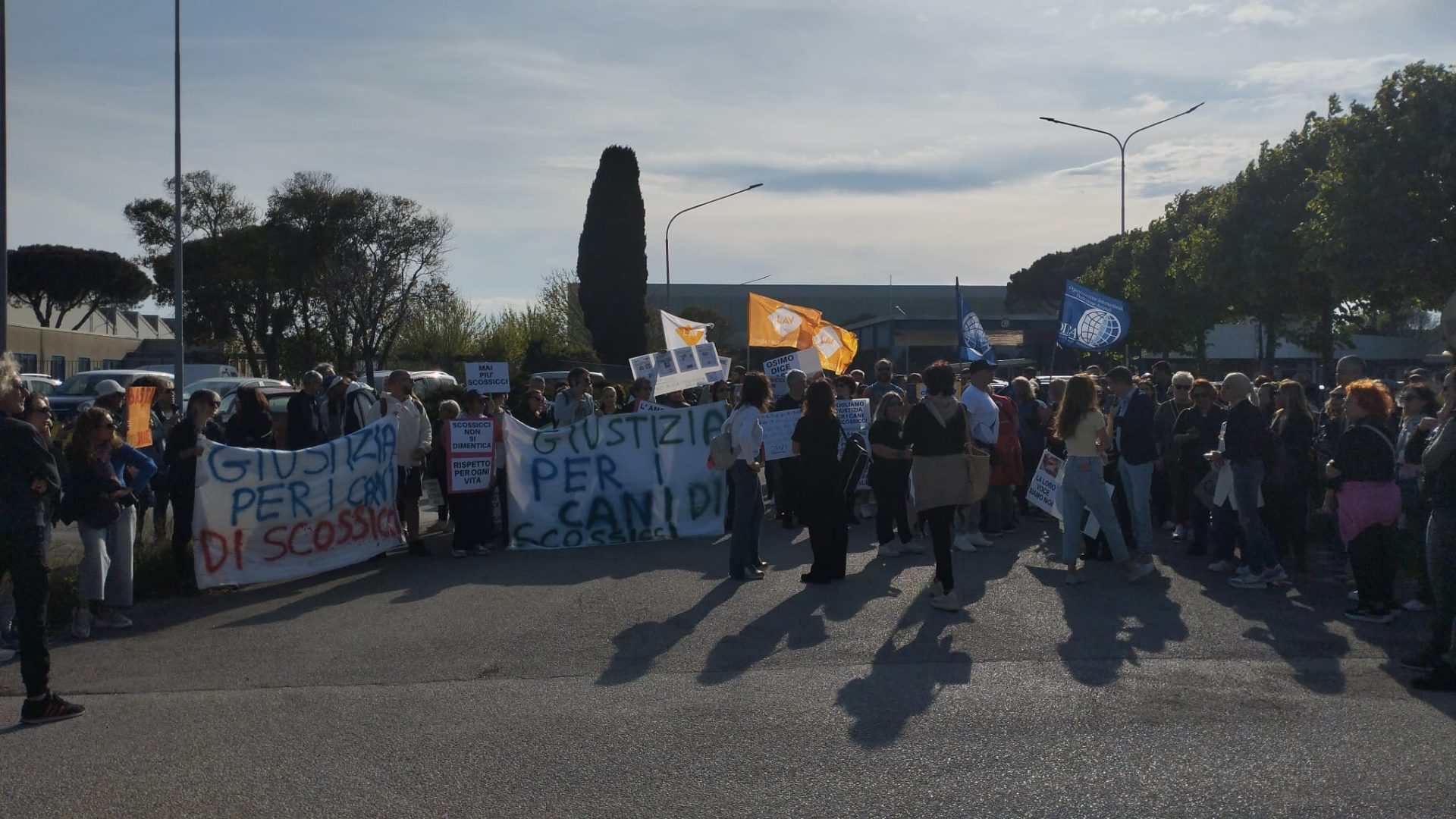 “Giustizia per i cani di Scossicci”, <br> sfilano insieme animalisti e politici