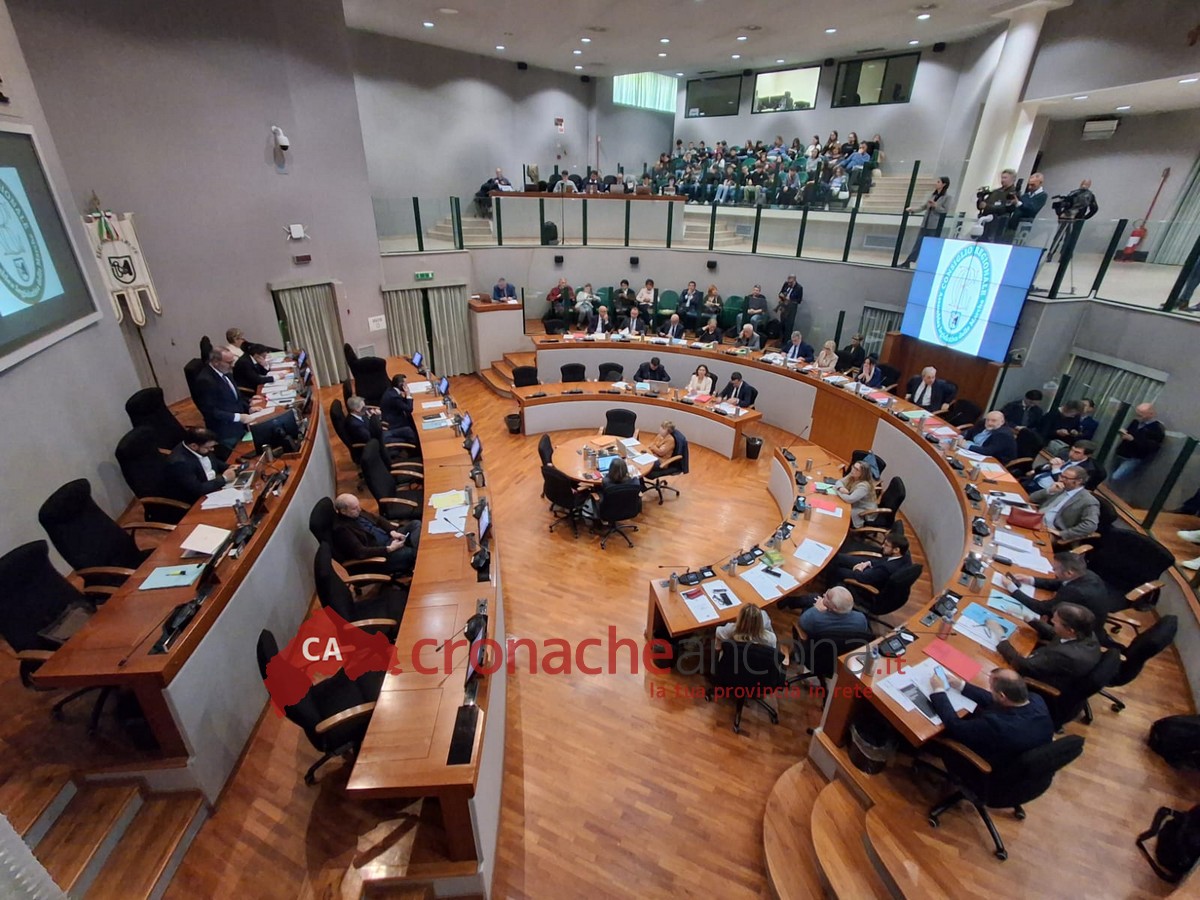 Plasma gettato, confronto in aula. Ricostruzione sulle sacche perdute, <br> dubbi sulla commissione d’inchiesta