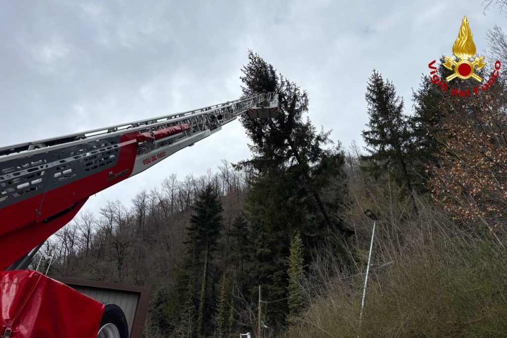 Alberi pericolanti sulla Provinciale, ad Arquata intervengono i vigili del fuoco