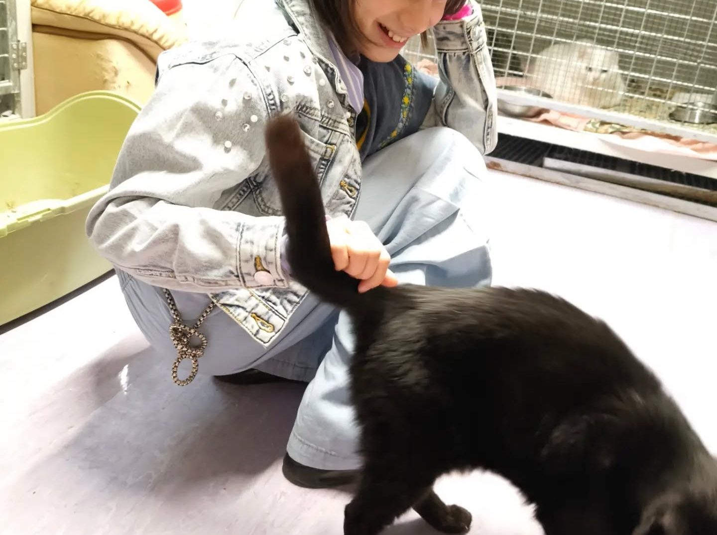 Clarissa vorrebbe salvare tutti i gatti: a 8 anni rinuncia alle bomboniere