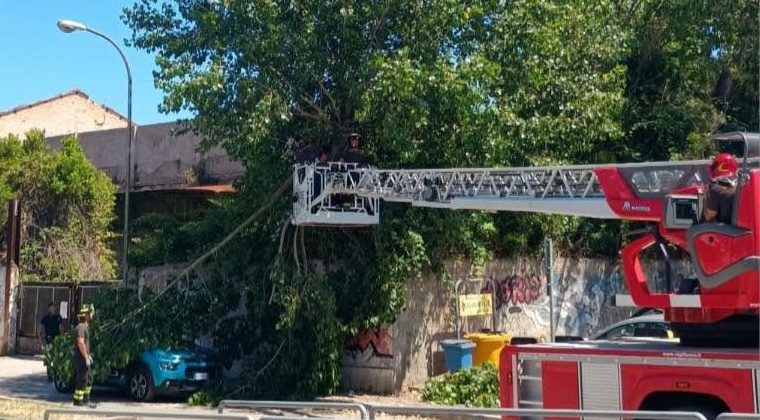 Albero si schianta su due auto nell’area dell’ex complesso di via Calatafimi
