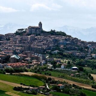 L’Istat premia Fermo: 11° in Italia per verde pubblico. Scarfini: «Attenzione alta per il patrimonio arboreo»