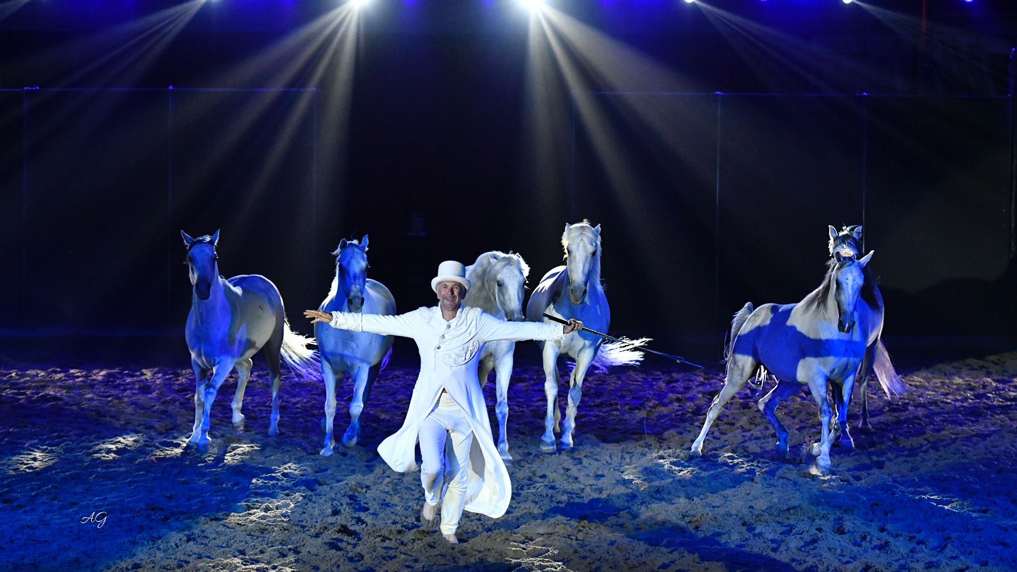 Fieracavalli-Riding-by-the-Sea_spettacolo-serale