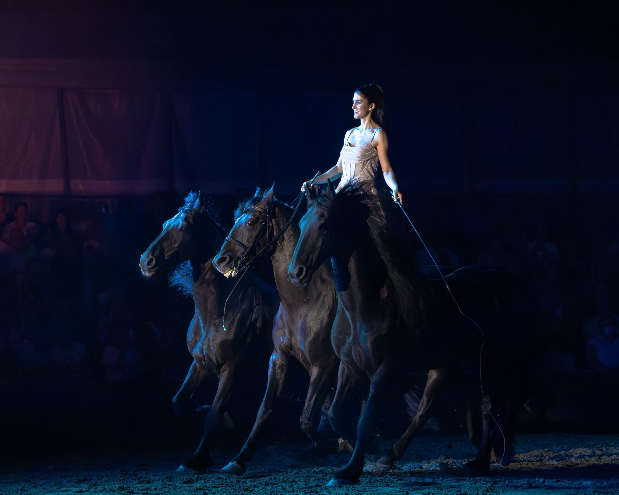 Fieracavalli-Riding-by-the-Sea_spettacolo-serale_2