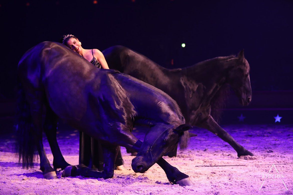 Fieracavalli-Riding-by-the-Sea_spettacolo-serale_3
