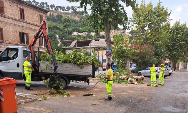 La furia del maltempo lascia ferite: alberi abbattuti e servizi ko