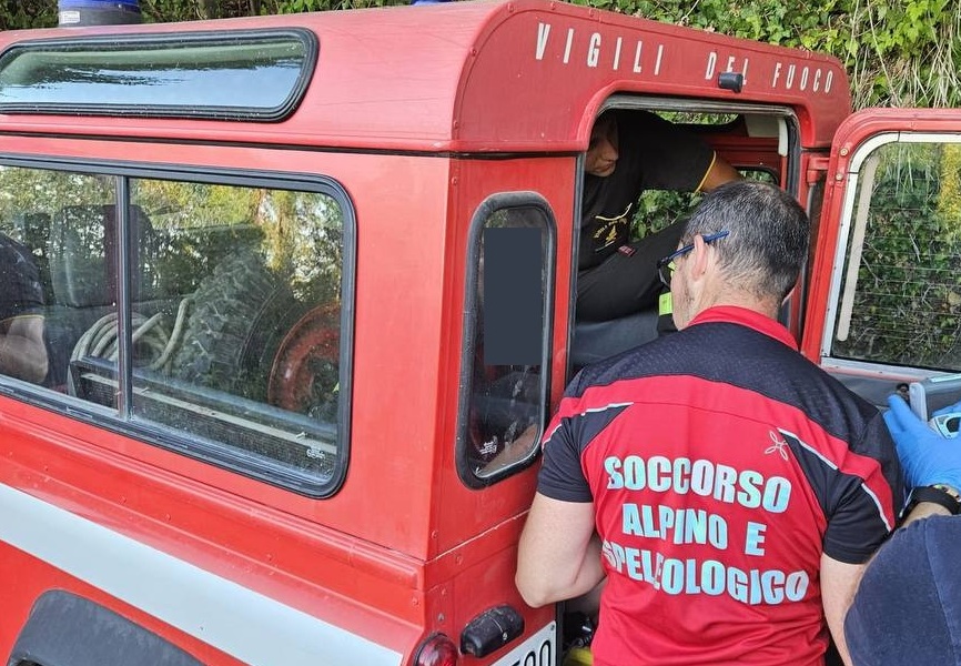 Va in shock anafilattico dopo la puntura di un calabrone