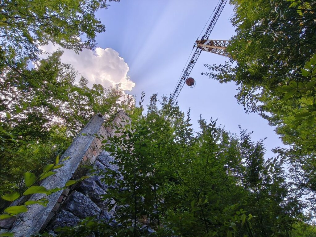 Il “mostro” svetta tra gli alberi: cosa ci fa una gru abbandonata nel bosco?