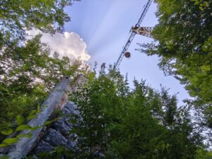 Il “mostro” svetta tra gli alberi: cosa ci fa una gru abbandonata nel bosco?