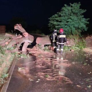 Maltempo e vento forte nel Piceno: albero sfiora un’auto a Massignano, oltre 70 interventi nelle Marche