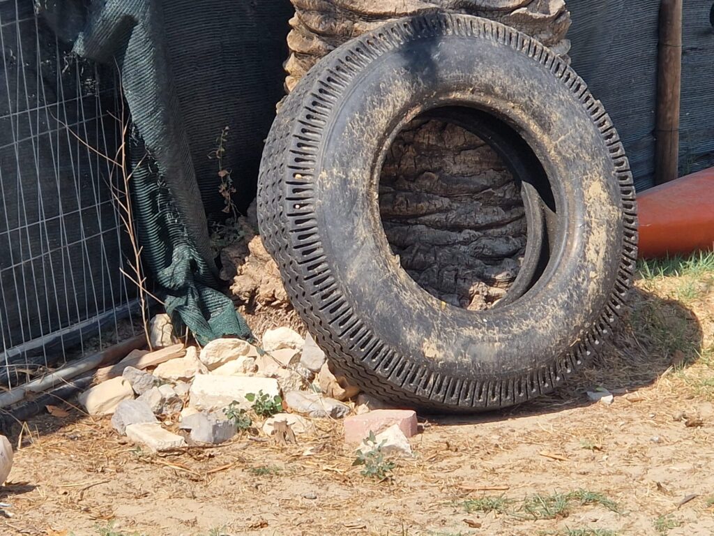 Spiagge libere trasformate in discariche: nuovi rifiuti abbandonati sul litorale Nord