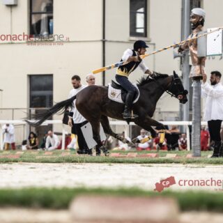 La Lav all’attacco della Quintana: «Nel 2026 non è più accettabile mettere a rischio i cavalli per uno spettacolo»