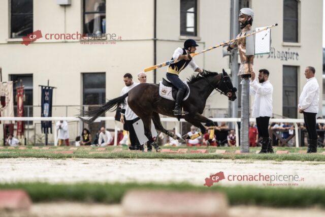 La Lav all’attacco della Quintana: «Nel 2026 non è più accettabile mettere a rischio i cavalli per uno spettacolo»