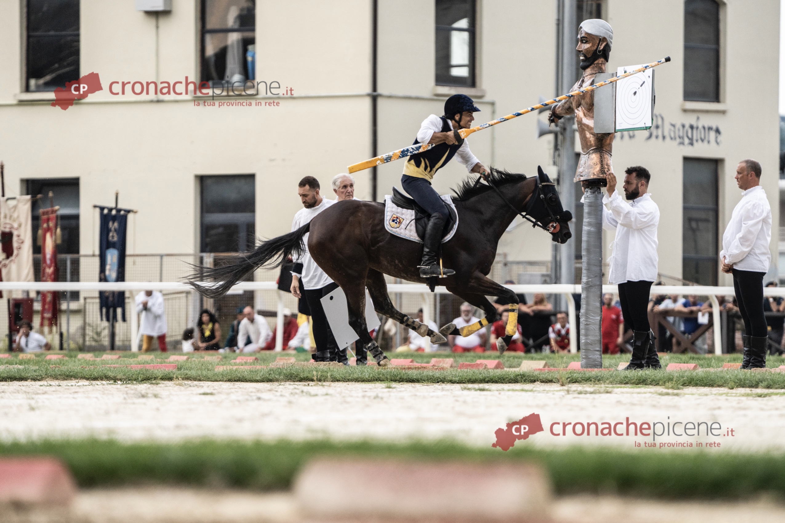 La Lav all’attacco della Quintana: «Nel 2026 non è più accettabile mettere a rischio i cavalli per uno spettacolo»