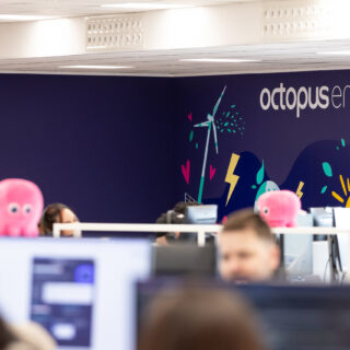 Nuove assunzioni nel Piceno: Octopus Energy continua a crescere e punta ad ampliare il proprio organico