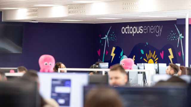 Nuove assunzioni nel Piceno: Octopus Energy continua a crescere e punta ad ampliare il proprio organico