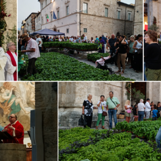 La “pianta del Re” annuncia la festa: all’alba si rinnova il rito del basilico per Sant’Emidio