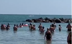 Spettacolo in mare: un gruppo di delfini incanta bagnanti e turisti