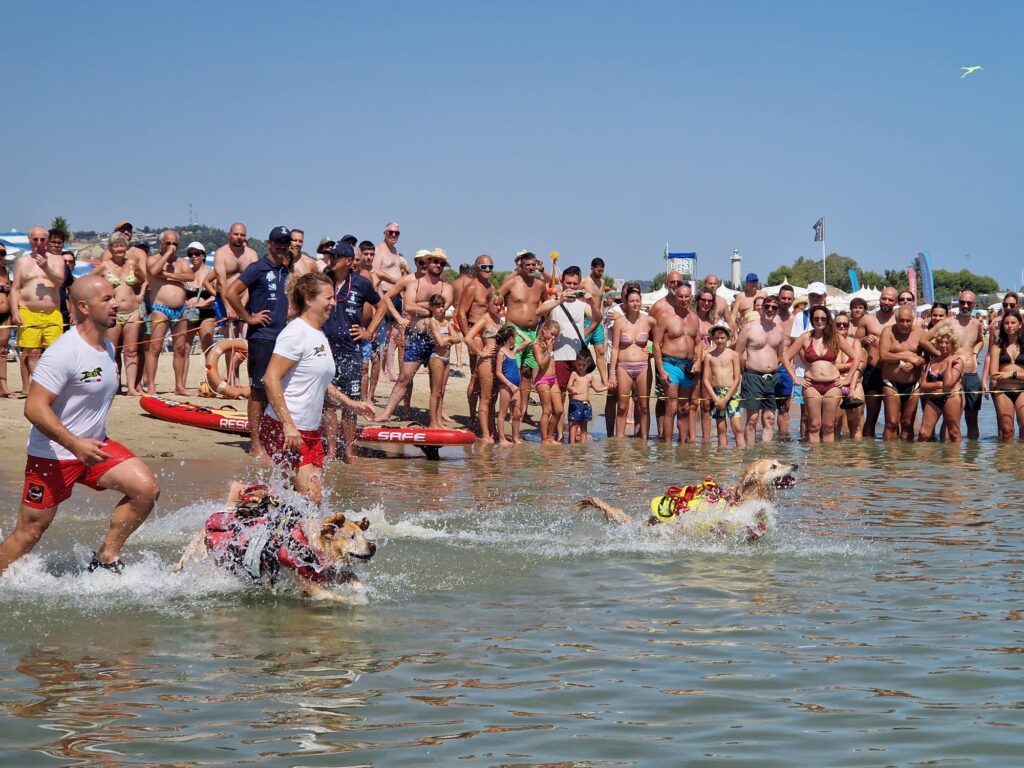 La sicurezza balneare s’impara da piccoli, ressa in spiaggia per i cani-baywatch
