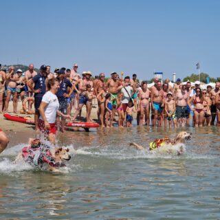 La sicurezza balneare s’impara da piccoli, ressa in spiaggia per i cani-baywatch
