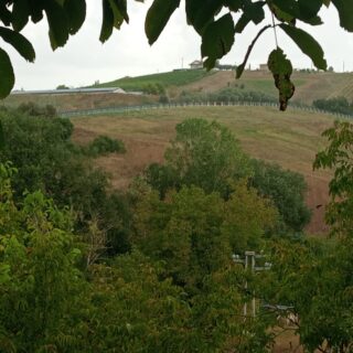 Il sole sulla collina e l’ombra sul paesaggio: «Non cancellate il belvedere di Piattoni con i pannelli fotovoltaici»