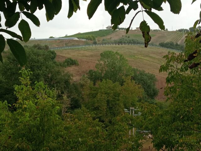 Il sole sulla collina e l’ombra sul paesaggio: «Non cancellate il belvedere di Piattoni con i pannelli fotovoltaici»
