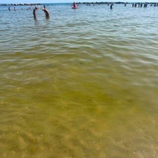 Il mare cambia colore, la qualità resta al top