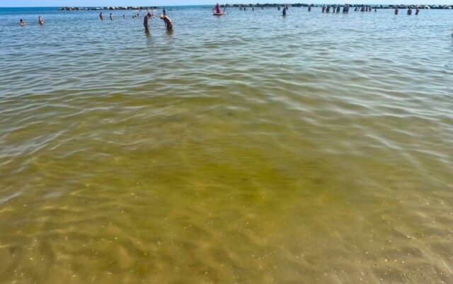 Il mare cambia colore, la qualità resta al top