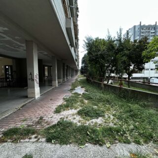 Marciapiede dissestato e allagamenti in via dei Fiordalisi, la protesta dei residenti: «Così non si può più andare avanti»