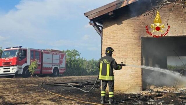 Incendio in una falegnameria, tetto distrutto dalle fiamme: Vigili del fuoco al lavoro per ore