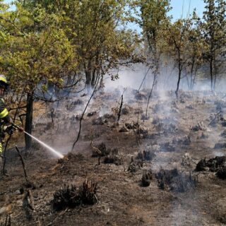 Fiamme sulle colline di Venarotta, incendio domato dopo ore di lavoro