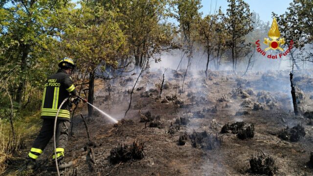Fiamme sulle colline di Venarotta, incendio domato dopo ore di lavoro
