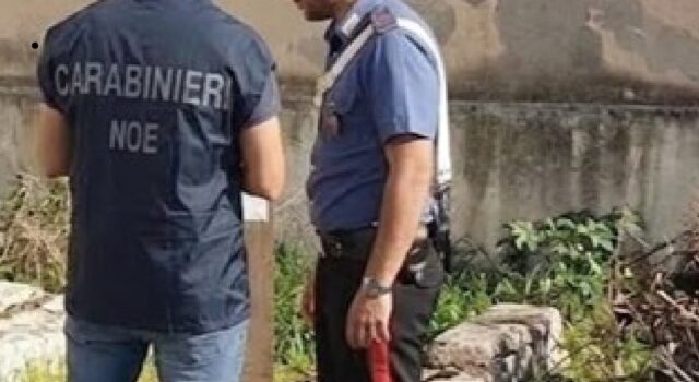 Operazione “Picenum”: emesse misure cautelari per i 5 indagati nella maxi inchiesta della “ricicleria”