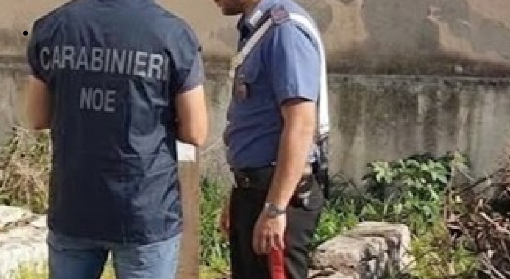Operazione “Picenum”: emesse misure cautelari per i 5 indagati nella maxi inchiesta della “ricicleria” Operazione “Picenum”: emesse misure cautelari per i 5 indagati nella maxi inchiesta della “ricicleria”