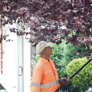 Manutenzione del verde: nuova assunzione per rinforzare la squadra di giardinieri Manutenzione del verde: nuova assunzione per rinforzare la squadra di giardinieri