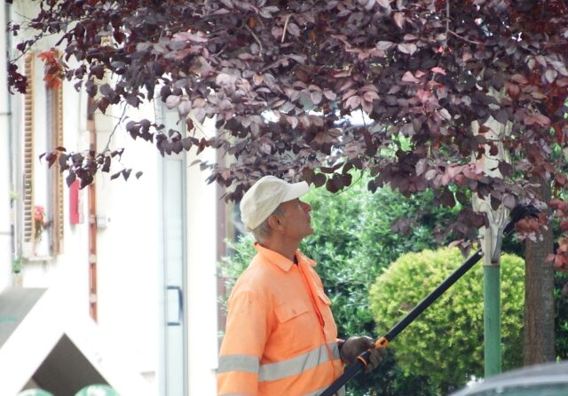Manutenzione del verde: nuova assunzione per rinforzare la squadra di giardinieri Manutenzione del verde: nuova assunzione per rinforzare la squadra di giardinieri