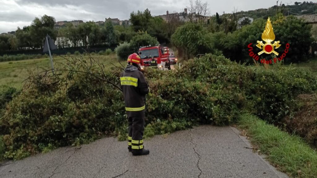 Allerta meteo per temporali e forte instabilità: attenzione anche nel Piceno Allerta meteo per temporali e forte instabilità: attenzione anche nel Piceno