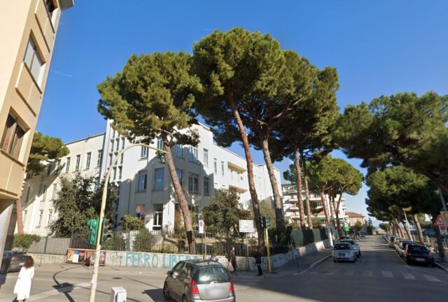Quattro storici pini della scuola “Caselli” finiscono sotto esame: incaricato un agronomo per valutarne la sicurezza Quattro storici pini della scuola “Caselli” finiscono sotto esame: incaricato un agronomo per valutarne la sicurezza