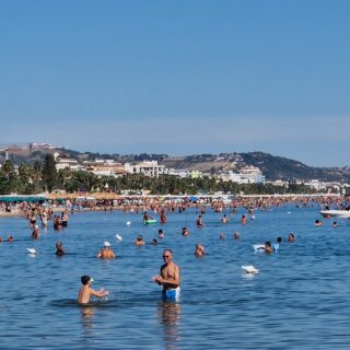A settembre come in pieno agosto: spiaggia affollata, il tuffo dei delfini mette il punto esclamativo