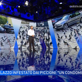 Piazza San Tommaso, l’invasione dei piccioni finisce su Rai Uno Piazza San Tommaso, l’invasione dei piccioni finisce su Rai Uno