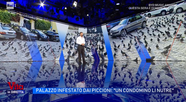 Piazza San Tommaso, l’invasione dei piccioni finisce su Rai Uno Piazza San Tommaso, l’invasione dei piccioni finisce su Rai Uno